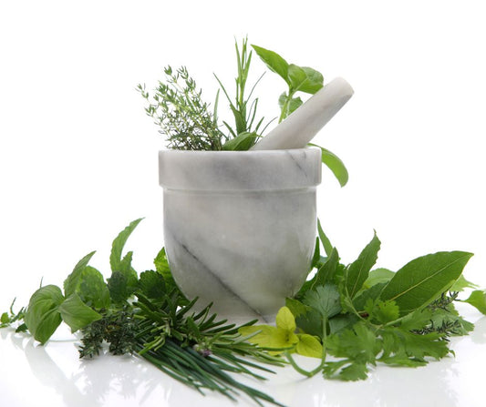 ЗАЩО БИЛКИТЕ СА ТОЛКОВА ВАЖНИ?